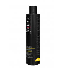 Harizma Pro Hair Шампунь для сухих волос Magic Care 300 мл
